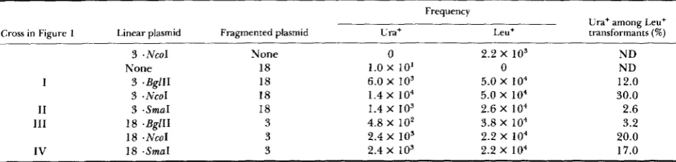 TABLE 1 