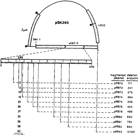 FIGURE 4.-Deletion tion. The expanded scale of the 