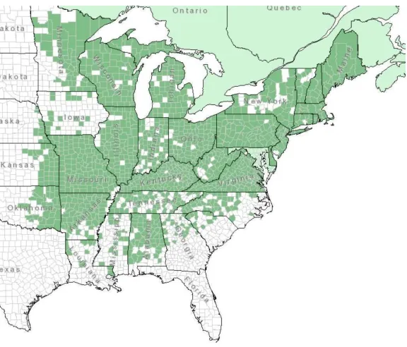 Figure 1. Q. falcata range map (USDA 2018)  