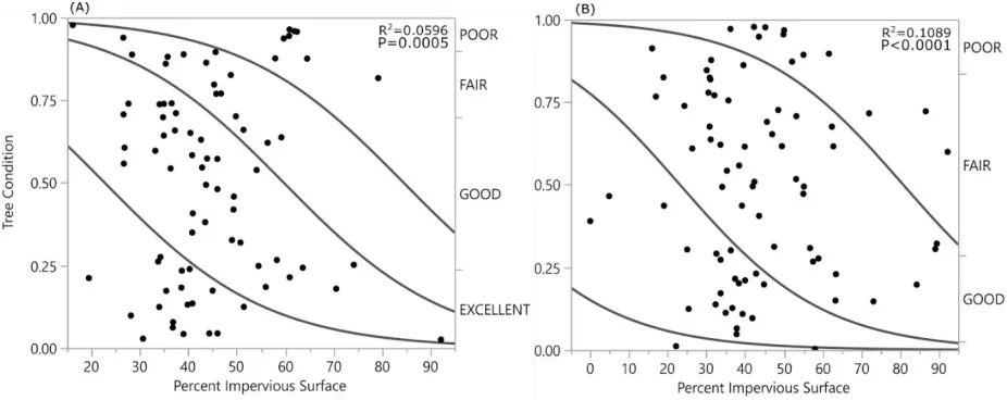 Figure 3.  Examples of types of leaf damage assessed on Q. falcata and Q. rubra. (McAreavy, 2018)  
