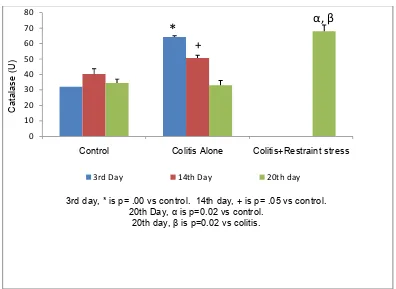 Fig. 1. Superoxide dismutase activities in the colons of rats on day 3, 14 and after exposing some of them to restraint stress from the 14th to 20th day post colitis induction 