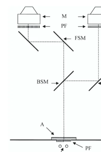 Figure 1. Overhead view of the display system (notto scale). Components of the system include com-puter monitors (M), polarizing filters (PF), front-surface mirrors (FSM), a beam-splitting mirror(BSM), and an aperture (A)