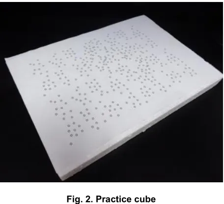 Fig. 2. Practice cube 