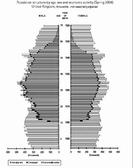 Figure 1: Population Structure by age, sex and economic activity (Spring 2004)  