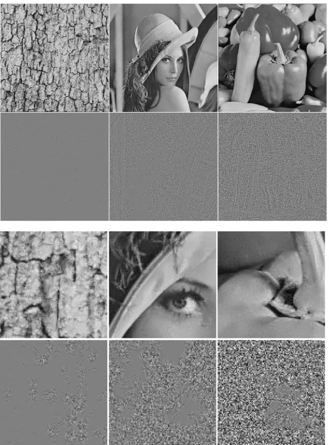 Figure 3  Original SL-means method with an 11 by 11 search window and 5 by 5 patch.  Denoised image and removed noise (multiplied  by 4) shown