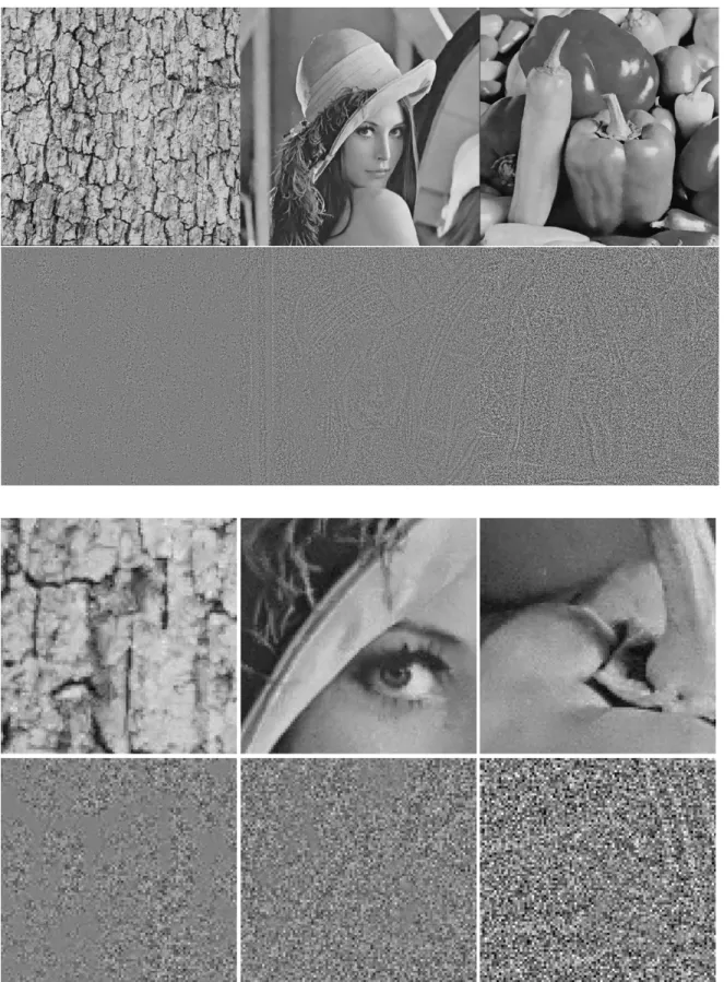 Figure 4  Original SL-means method with an 11 by 11 search window and 3 by 3 patch.  Denoised image and removed noise (multiplied  by 4) shown