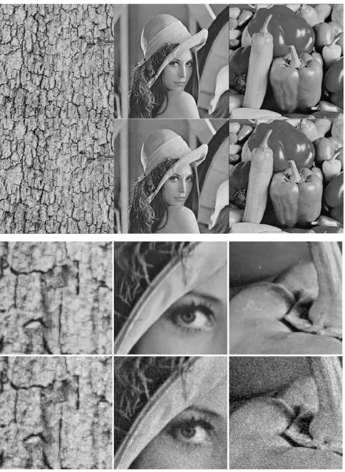 Figure 2  Three images with noise of standard deviation 10 (left), 10 (middle) and 15 (right)