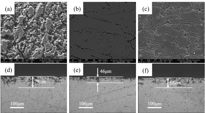 Figure 2. Surface morphologies and corresponding cross-sections of the corroded alloys with different Ag contents: (a,d) alloy A, (b,e) alloy B, and (c,f) alloy C