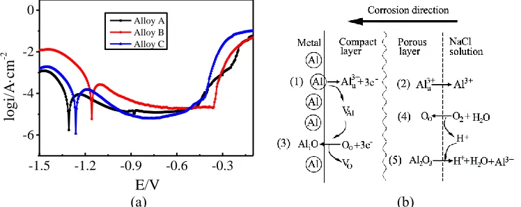 Figure 3.  Polarization curves of the tested alloys and corrosion processes occurring in the oxide film