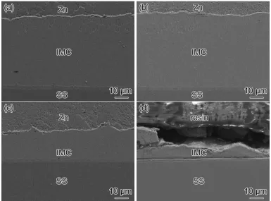 Figure 5. Cross section microstructure of Fe-Zn intermetallics formed on different passivation 304L SS for 48 h reaction, (a) exposure in air for 0 h, (b) exposure in air for 1 h, (c) exposure in air for 24 h, (d) chemical passivation 