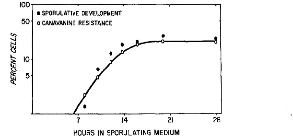 FIGURE 1.-The percentage resistant colonies and which are binucleate of cells in a sporulating culture which give rise to canavanine- or later in development, 8s determined cytologically- (sporulative development)