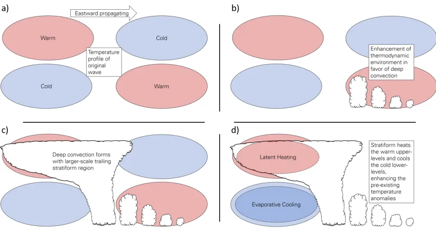 Figure 1.6: Vertical cross-sections (x-z) illustrating key properties of the stratiform insta-bility process.