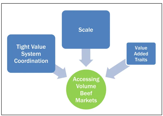 Figure 1. U.S. Premium Beef Model 