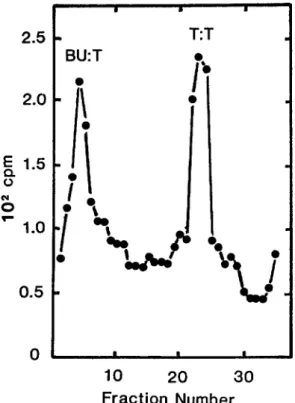 FIGURE  1.-CsCI  gradient  of  BUdR-labeled  yeast  DNA.  Exponential  cells  of  strain  153  (2  X  106/ml) growing  in  Y  complete  medium  (ZAKIAN,  BREWER  and  FANCMAN  1979) containing  ['HI-  T d r  at  20  pCi/ml  (100  pg/ml)  were  filtered,  w