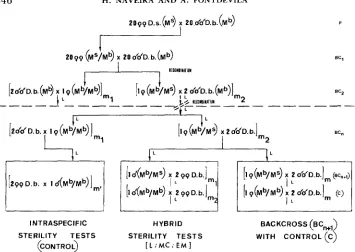 FIGURE (CONTROL) 3.-Arrow test them for male sterility. Tests are performed in the unspecified backcross generation 