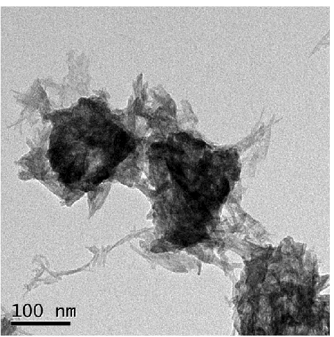 Figure 1. TEM graph of the BCEr10 precursor powder by the microemulsion method. 