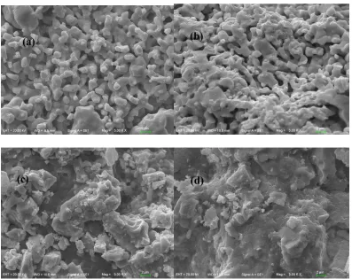 Figure 4.  The SEM images of external and cross-sectional surface for BCEr10 (a,b) and BCEr10-NaCl-KCl (c,d) samples