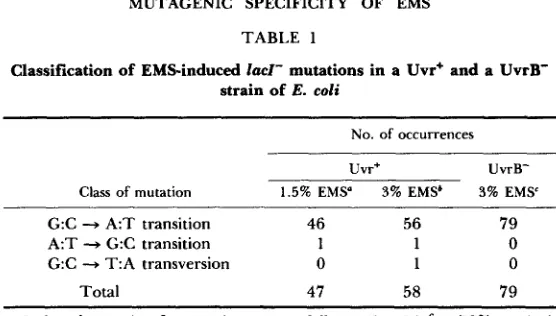 TABLE 1 Classification of EMS-induced strain ZacZ- mutations in a Uvr' and a UvrB- of E