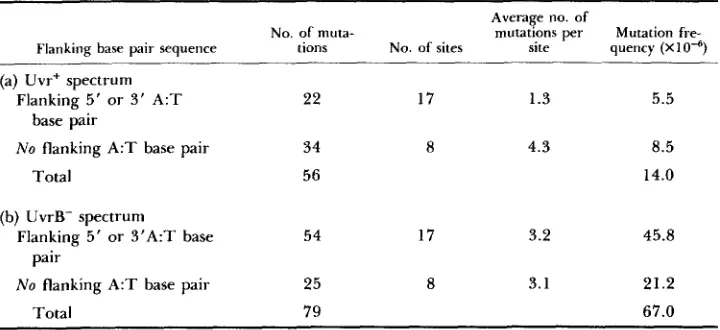 TABLE 3 Effect of neighboring base sequence on mutation at G C  sites in the Uvr+ and UvrB- spectra 