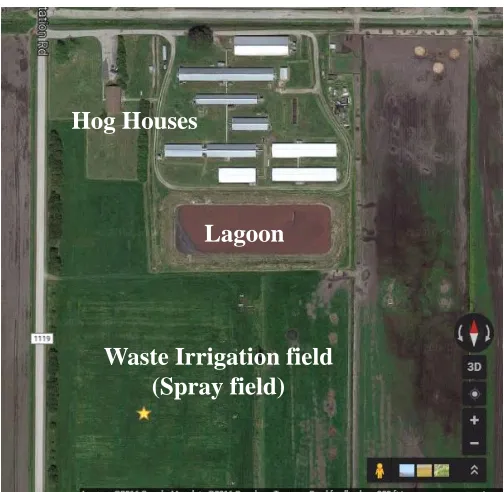 Figure 1.3 A typical swine production operation is showing hog houses, a lagoon receiving animal waste,  and spray field receiving the lagoon effluent