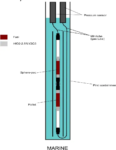 Figure 6: Schematic view of the MARINE irradiation experiment 