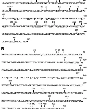 FIG. 1. Transposition mutants of the triplex proteins. The ﬁgure shows the amino acid sequences of the VP23 (A) and VP19C (B) proteins.The arrows show the sites of the transposition insertions