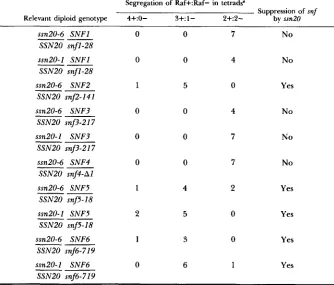 TABLE 3 Secreted invertase activity in ssn20 snf and ssn20 ssn6 double mutants 