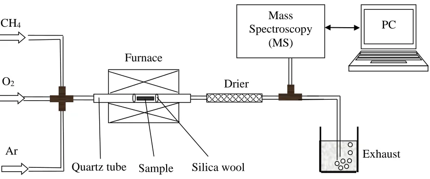 Figure 1.  Schematic diagram of the experimental apparatus used for the mass spectrometer tests  