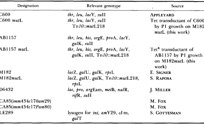TABLE 1 Bacterial strains that were used in this work 