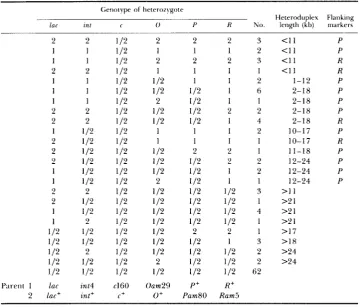 TABLE 3 Description of genotypes present in the mixed plaques 