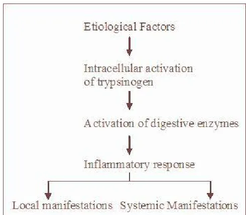 Figure No 4 - Mechanism of development of acute pancreatitis