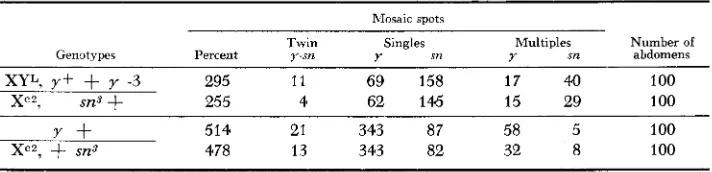 TABLE 5 Mosaicism following somatic crossing ouer between a rod with heterochromatin intercalated into the euchromatic part and a usual ring chromosome 
