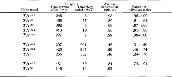 TABLE 6 