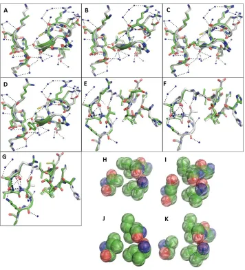 Figure 3: A-G, Electrostatic interactions in the H3CL of WT (white) superimposed to each mutation (green) and 93-100% conserved waters (37)