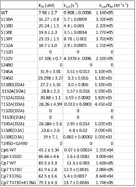 Table 1: Catalytic Parameters for caspase-3, -6, and -7 and H3CL phosphorylation mutants in triplicate