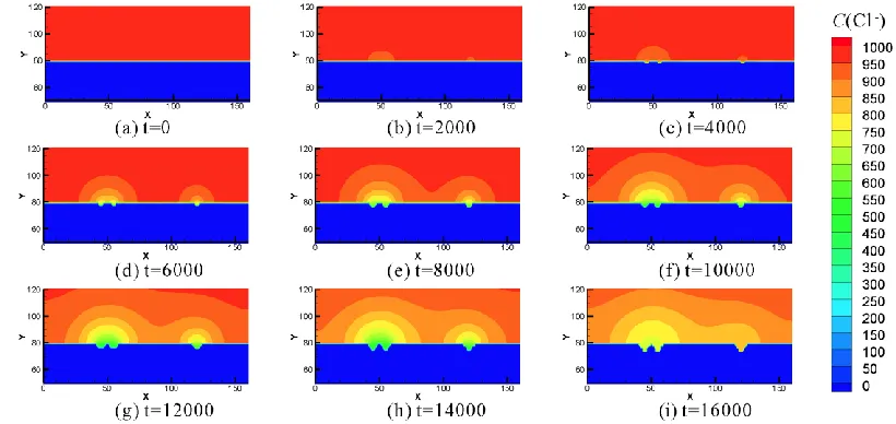 Figure 4. Time evolution of the chloride ion concentration profile   