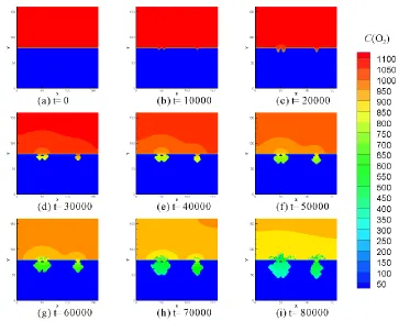 Figure 5.  Time evolution of the corrosion solution (oxygen) concentration profile   
