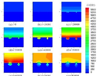 Figure 7.  Time evolution of the hydrogen ion concentration profile  