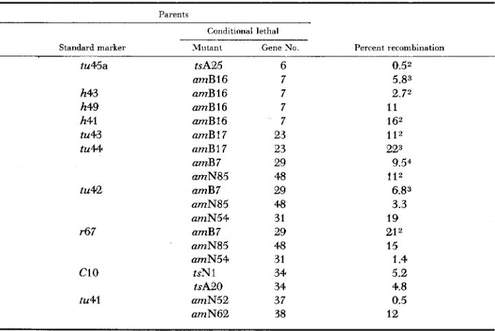 TABLE 4 