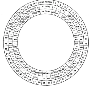FIGURE 2.-The mutants indicated are the reference markers for each gene as given in genes; cation of that publication is in fact two genes, relative order around the map