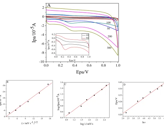 Figure 6.  (A) CVs of GO-IL/GCE in PBS pH=6.0 with 0.5 mM AA at different scan rate(10-300 mV/s)