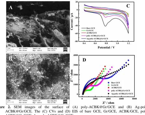 Figure 1.  CVs of functionalization of Ag nanoparticles on the surface of poly-ACBK@Gr/GCE in 1 mM AgNO3 containing 0.1 M KNO3 solution