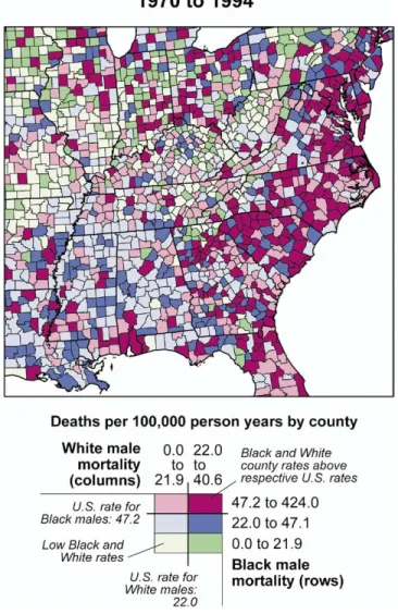 Figure 14. A bivariate choropleth map offers a visual combi- combi-nation of two variables, making visible their covariation.