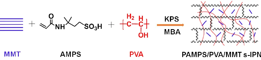 Figure 1. Schematic diagram of the formation of PAMPS/PVA/MMT-sIPN 