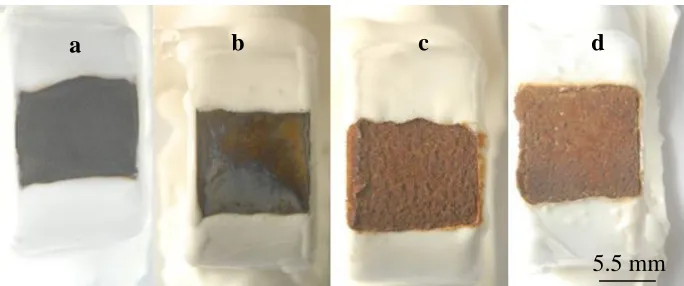 Figure 3.  Macro-morphologies of U-bend sample of X80 steel at various AC current densities in carbonate/bicarbonate solution (a) without AC, (b) 30 A/m2, (c) 100 A/m2, (d) 200 A/m2