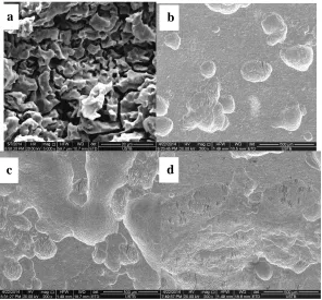 Figure 6. Micro-morphologies of U-bend sample of X80 steel at various AC current densities in carbonate/bicarbonate solution following the removal of corrosion product (a) without AC, (b) 30 A/m2, (c) 100 A/m2, (d) 200 A/m2