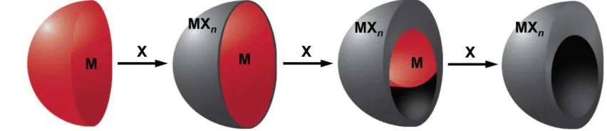Figure 2.2: The Kirkendall effect for metal nanoparticles can be described by the diffusion couple that is established between the metal (M) and the reactive species (X).32 