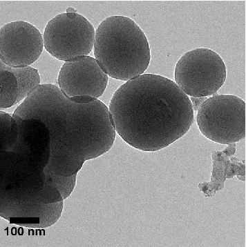 Figure 3.1:  SiO2-overcoated Ni NPs synthesized with a concentration of Ni NPs of 1 mg/mL instead of 2 mg/mL
