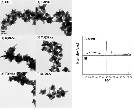 Figure 4.1: TEM and XRD of Ni NPs in an aliquot taken before injection of each precursor, which confirm the branched structure and composition of the template NPs