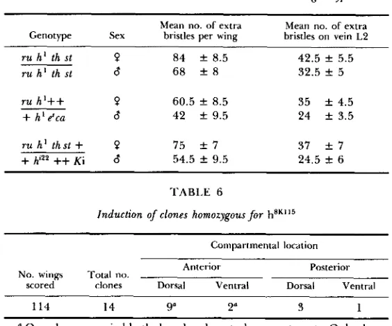 TABLE 5 The variation in extra bristle number between sexes and genotypes 